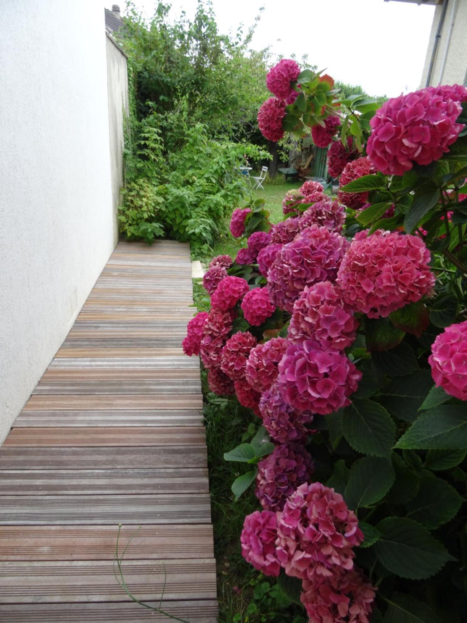 Maison D'Hotes Les Roses Tremieres Saclay Zewnętrze zdjęcie